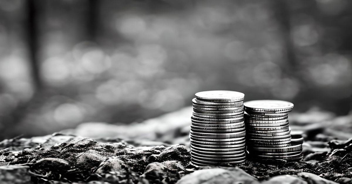 Discover Valuable Finds Metal Detecting In South Dakota TVMDC