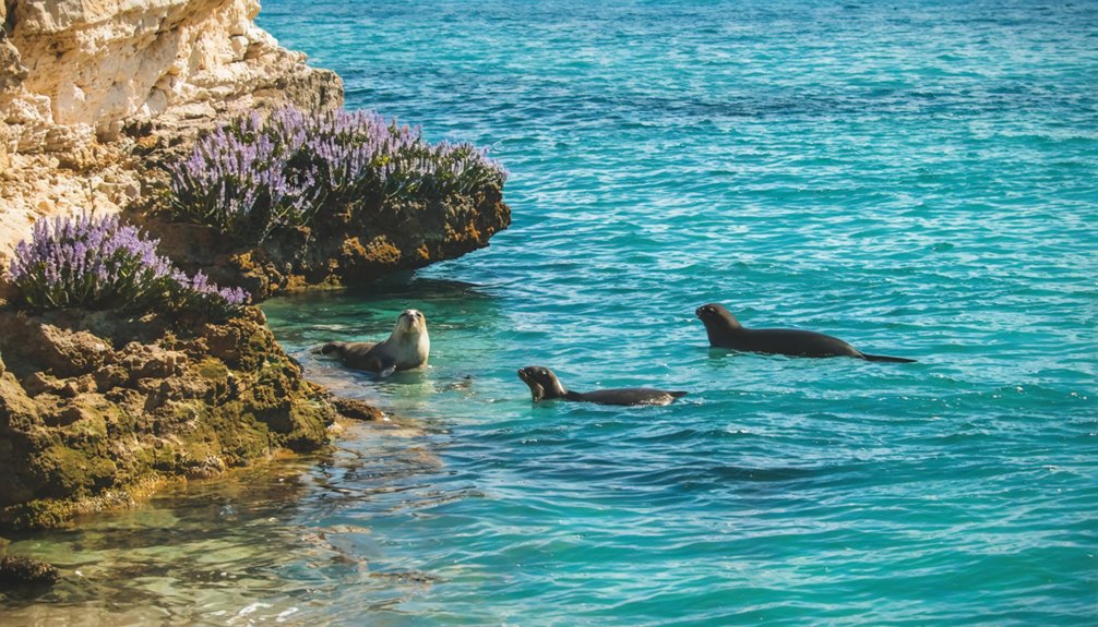 pristine marine biodiversity sanctuaries