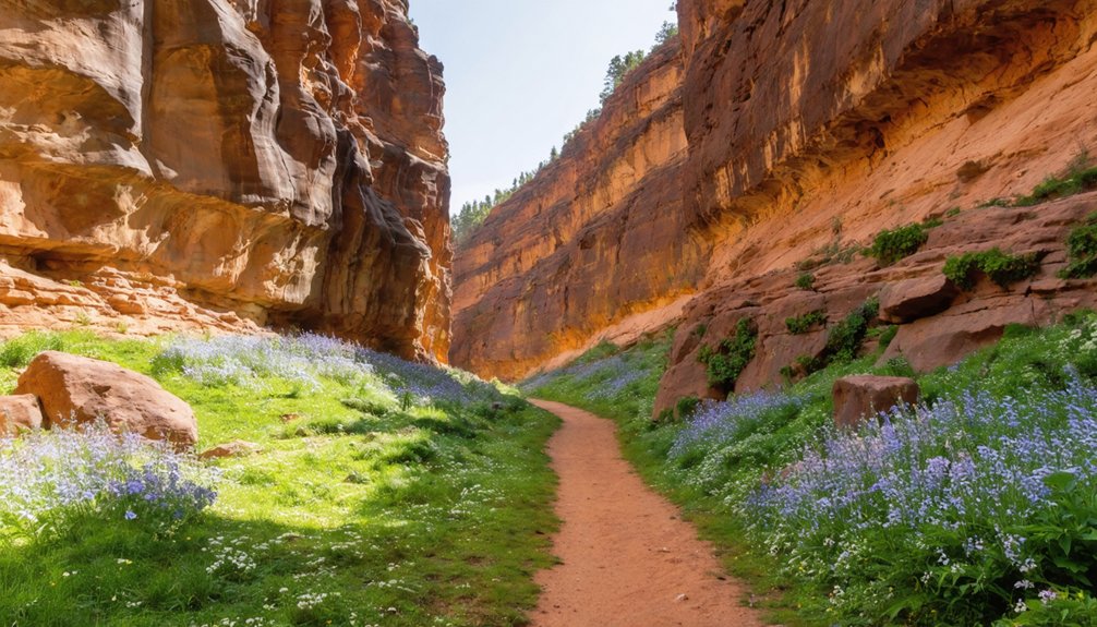 remote gemstone exploration trails