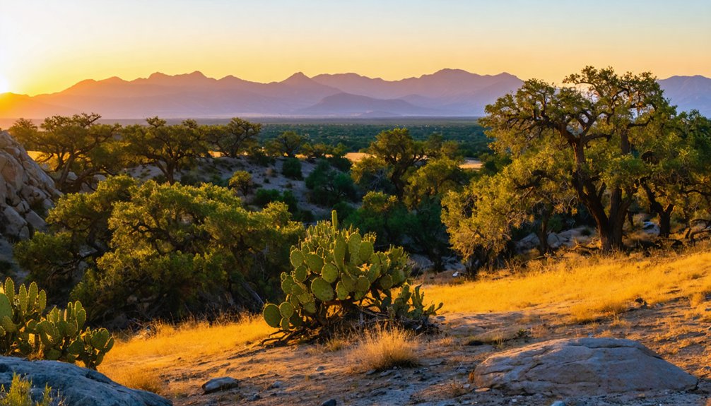 john beale gold collection