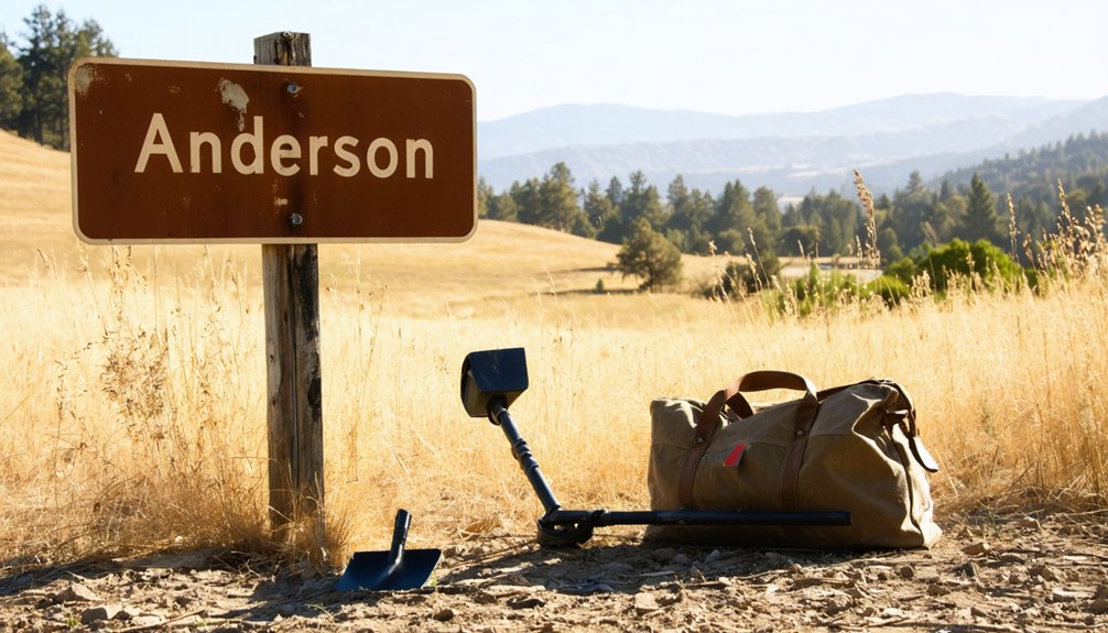 metal detecting regulations anderson