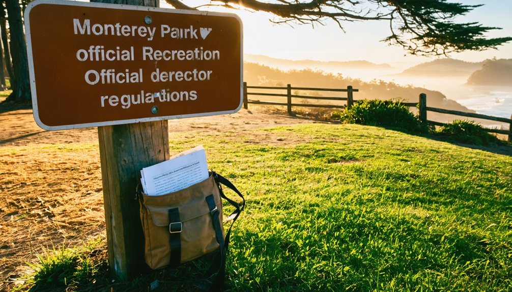 metal detecting zone regulations